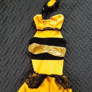 Bumble Bee Halloween Costume For Dogs Size large